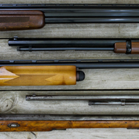 Shotgun Inventory
