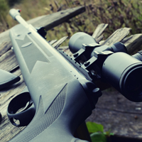 Rifle Inventory